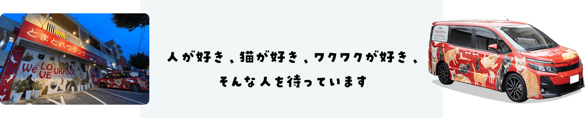 人が好き、猫が好き、ワクワクが好き、そんな人を待っています