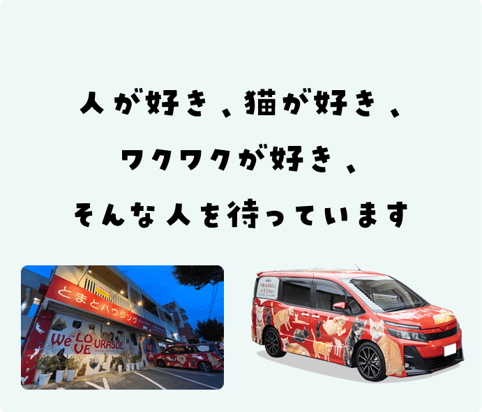 人が好き、猫が好き、ワクワクが好き、そんな人を待っています